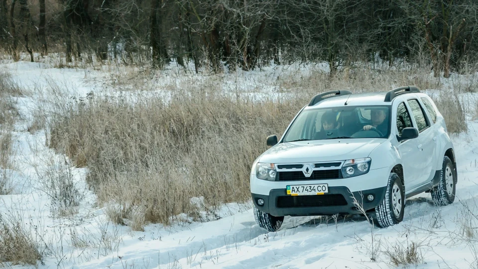 Renault Duster Альбіностер 2