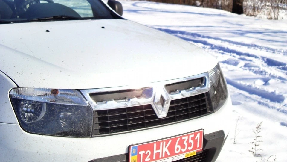 Renault Duster Альбіностер 4