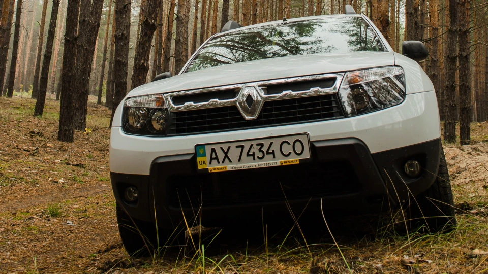 Renault Duster Альбіностер 5