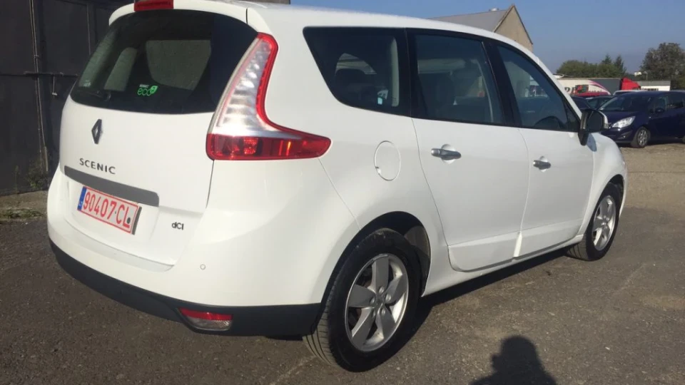 Renault Grand Scenic особлива біла пташка 3