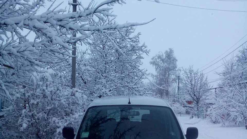 Renault Kangoo _1.5 turbo_ 4