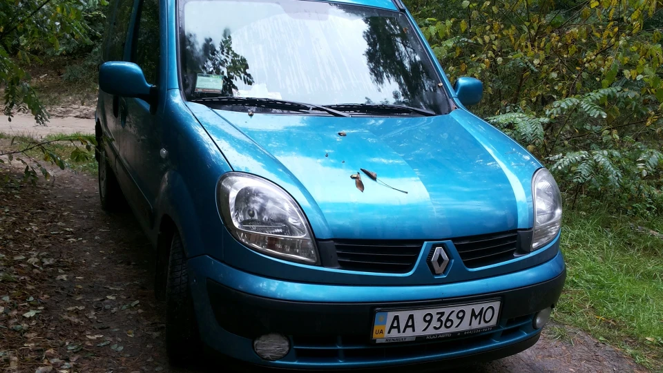 Renault Kangoo "AVATAR")))! 5