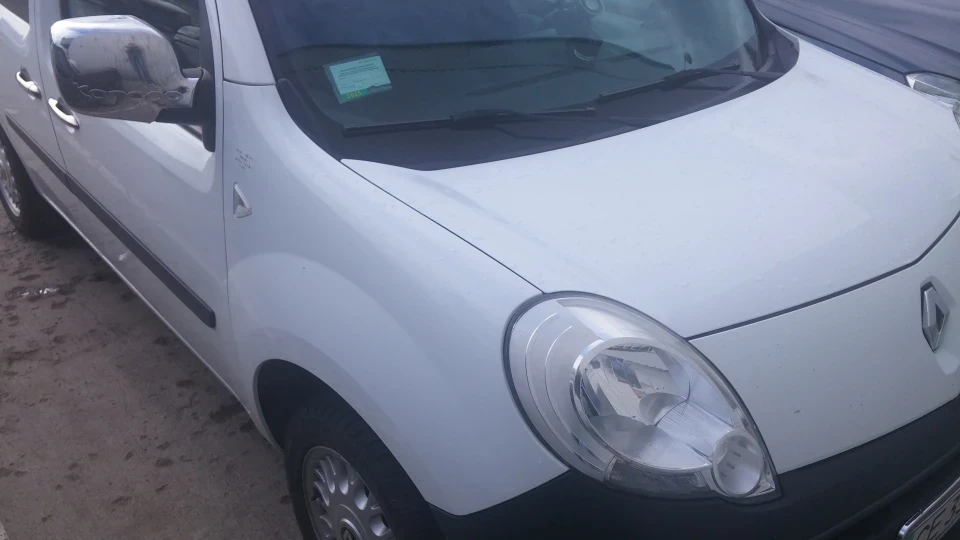 Renault Kangoo Бегемотик =) 2