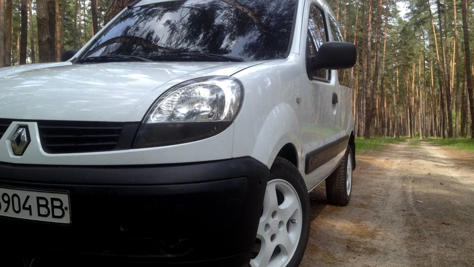 Renault Kangoo Біла ластівка 5