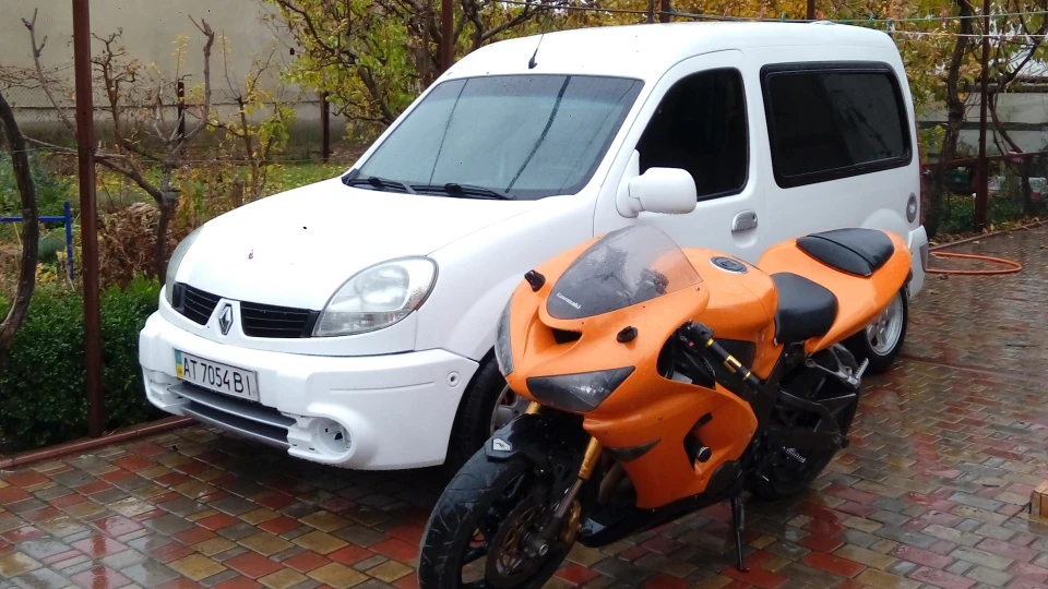Renault Kangoo Білосніжка 2