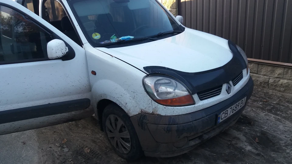 Renault Kangoo Білий кінь 3