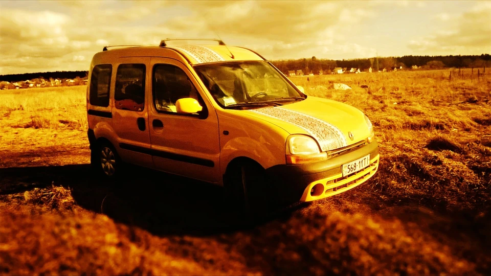 Renault Kangoo Бобик 3