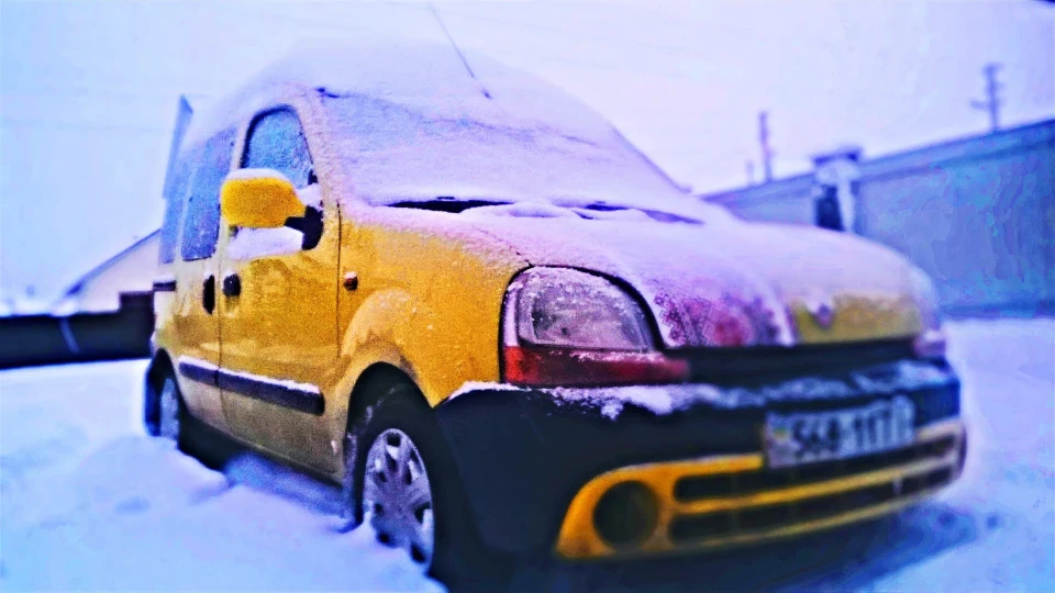 Renault Kangoo Бобик 4
