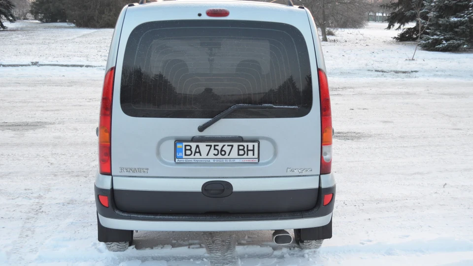 Renault Kangoo Борзий Кеня 2