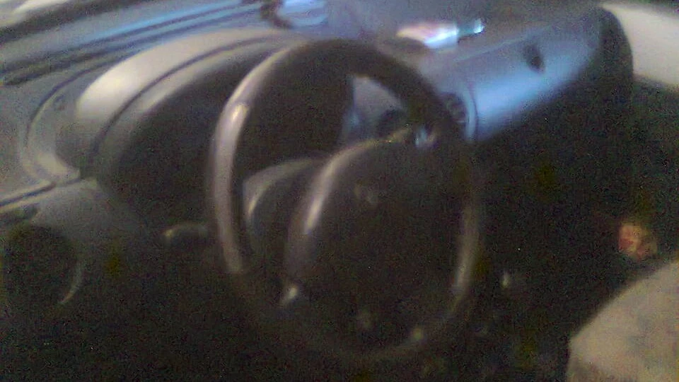Renault Kangoo Буренка 2