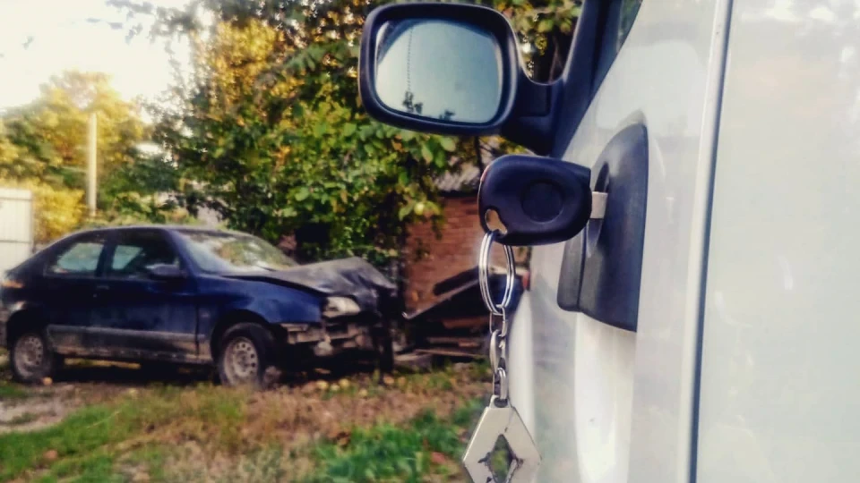Renault Kangoo Валіза без ручки