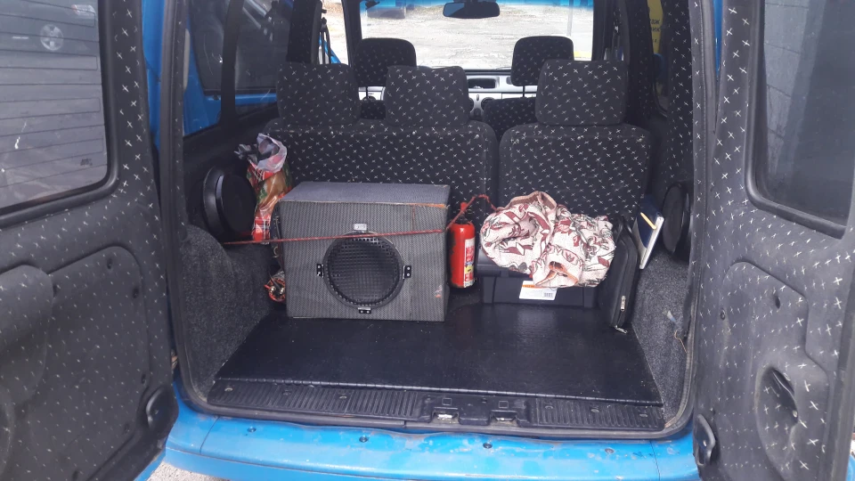 Renault Kangoo Дельфін 4