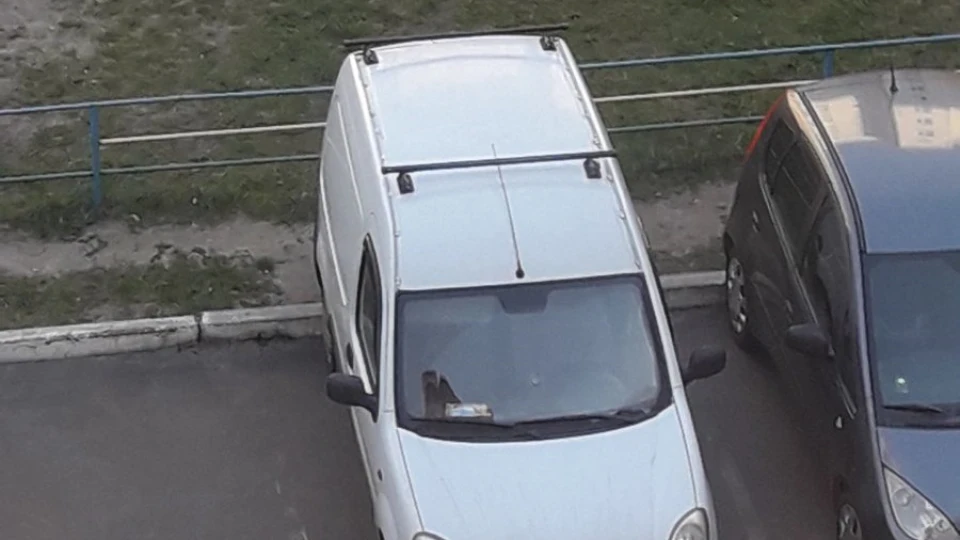 Renault Kangoo Денюшкозароботовка
