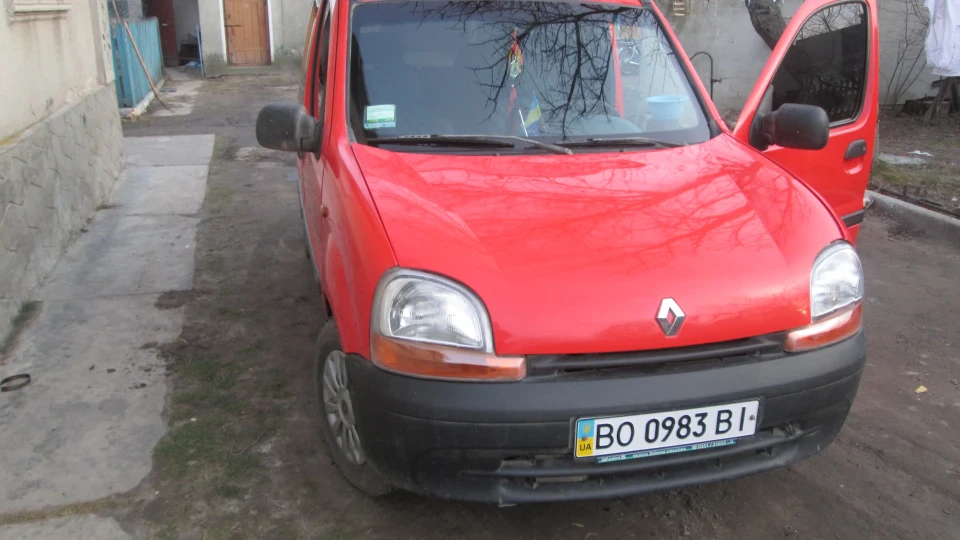 Renault Kangoo Кенгуря 4