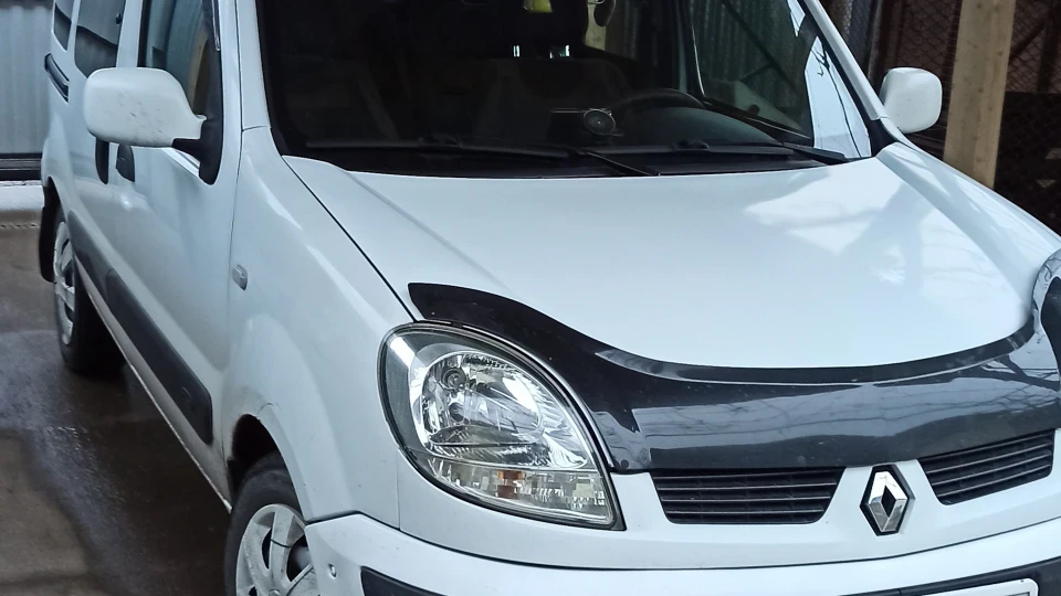 Renault Kangoo Кенгурік 2