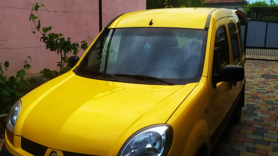 Renault Kangoo Лимонка🍋