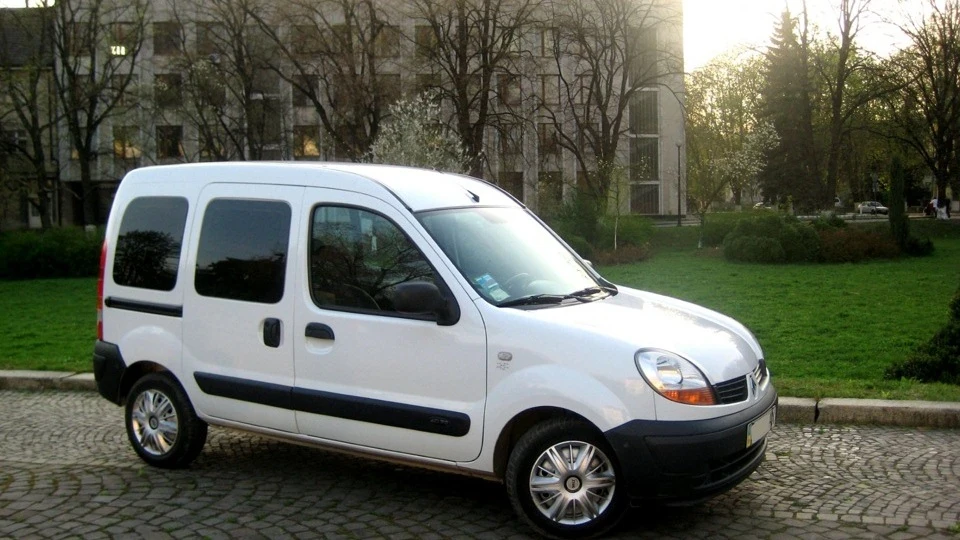 Renault Kangoo Бджілка 5