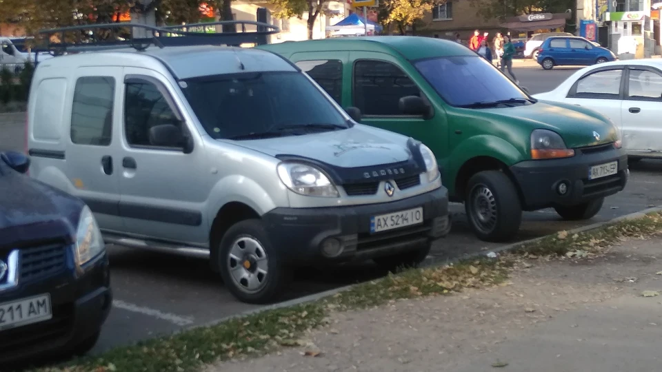Renault Kangoo повнопривідна жаба 3