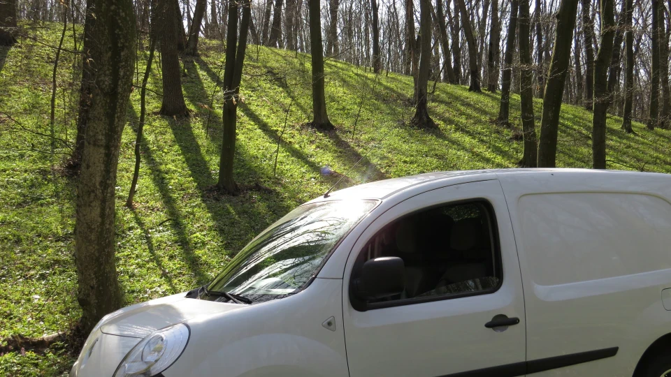 Renault Kangoo Просто БЕГЕМОТИК 4