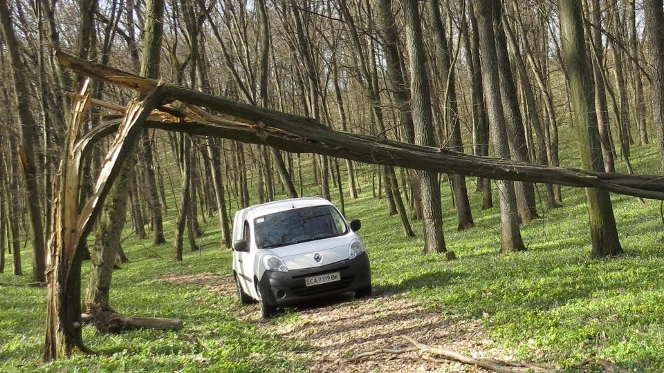 Renault Kangoo Просто БЕГЕМОТИК 5
