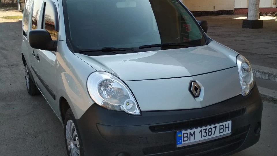 Renault Kangoo Сірий Кенгуру 2