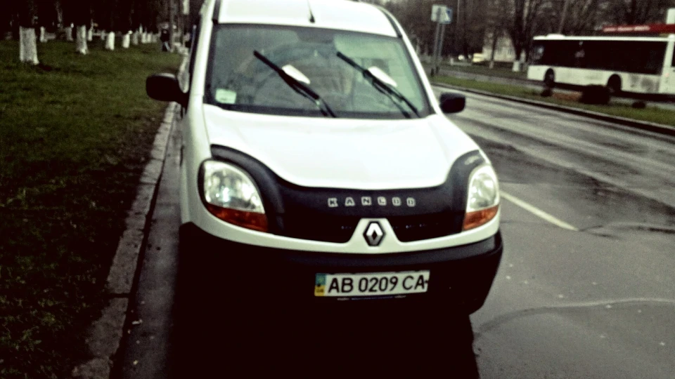 Renault Kangoo Шкодник 2