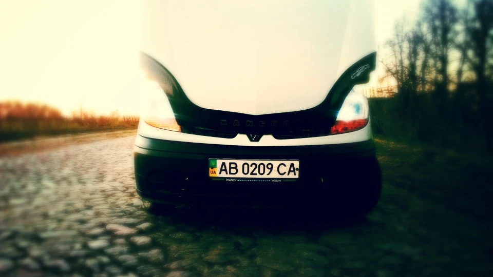 Renault Kangoo Шкодник 4