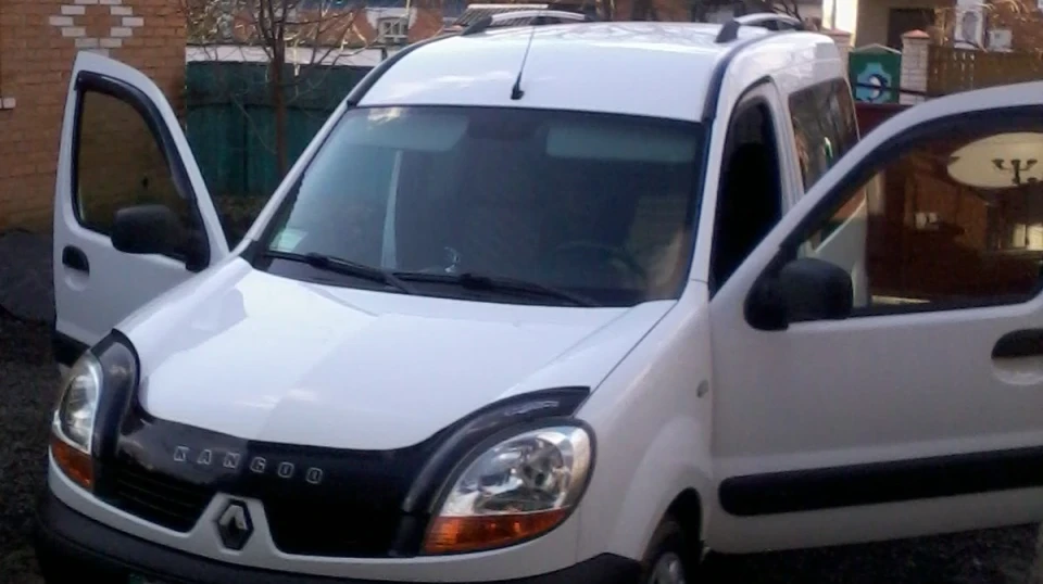Renault Kangoo Шкодник 5
