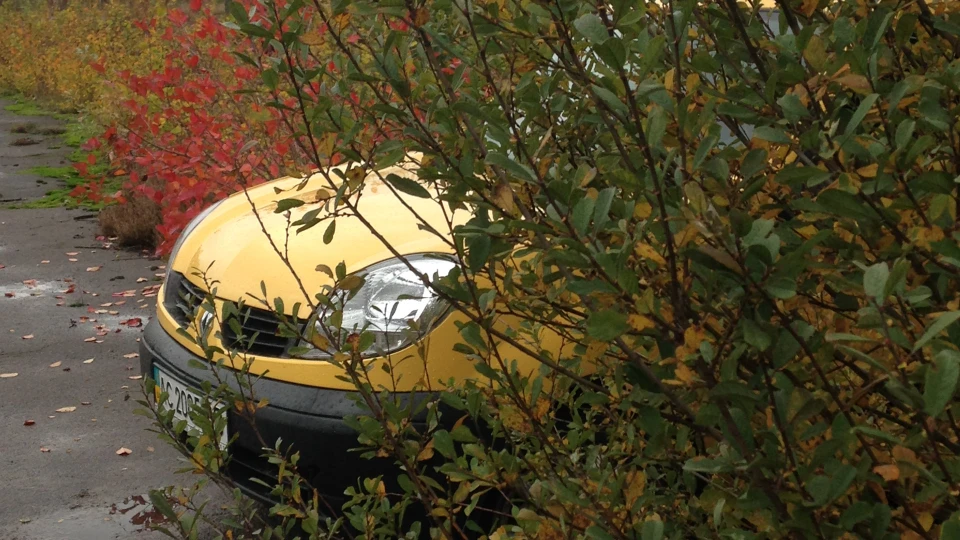 Renault Kangoo Сонечко 2