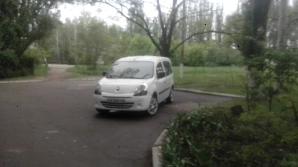 Renault Kangoo SV 3
