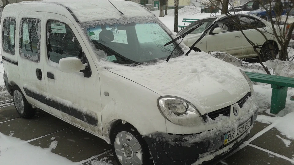 Renault Kangoo Турбо-Барсетка 2