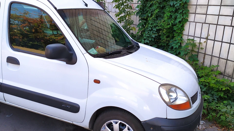 Renault Kangoo Господиня
