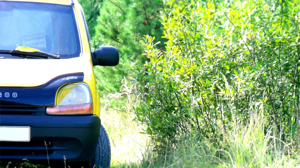 Renault Kangoo Yellow Submarine 4