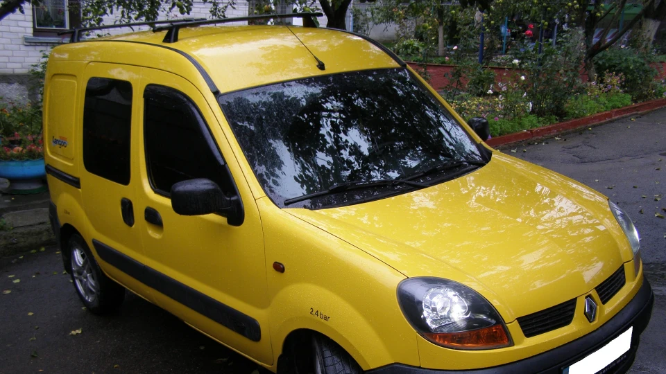 Renault Kangoo Жовтопуз 2