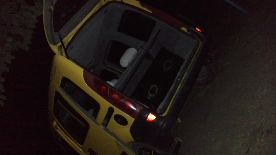 Renault Kangoo Жовтий коник) 5
