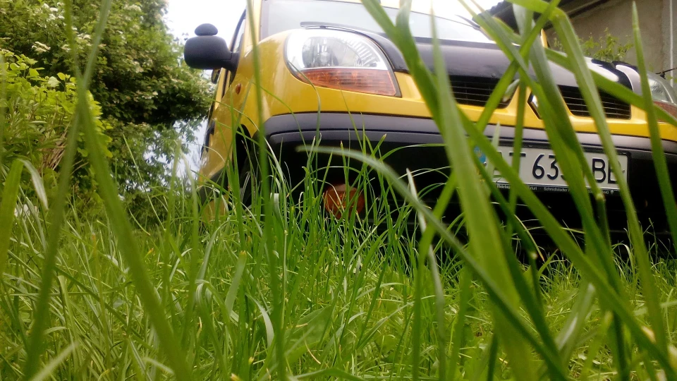 Renault Kangoo Жовтий лис 2