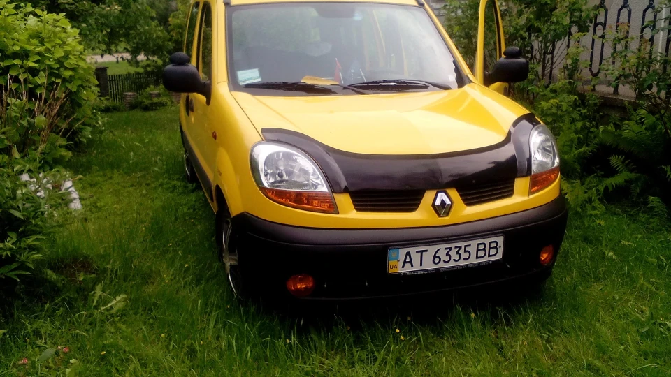Renault Kangoo Жовтий лис 3