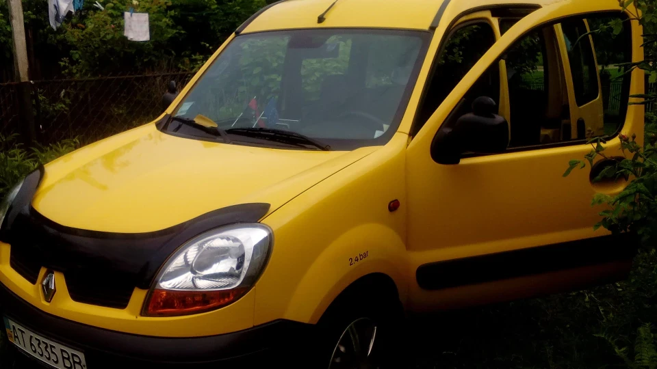 Renault Kangoo Жовтий лис 4