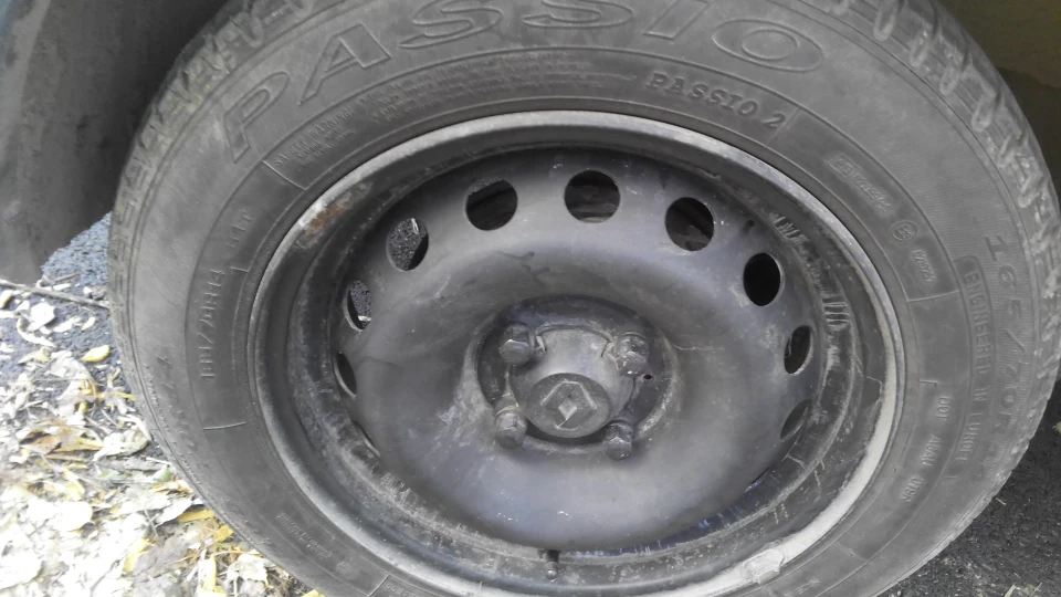 Renault Kangoo Жизель 2