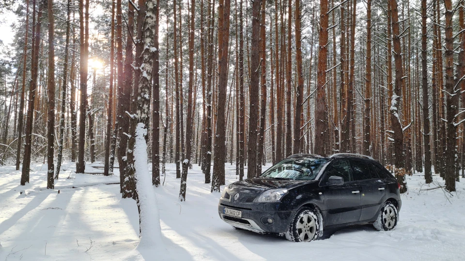 Renault Koleos 🐼PandaCar🐼 5