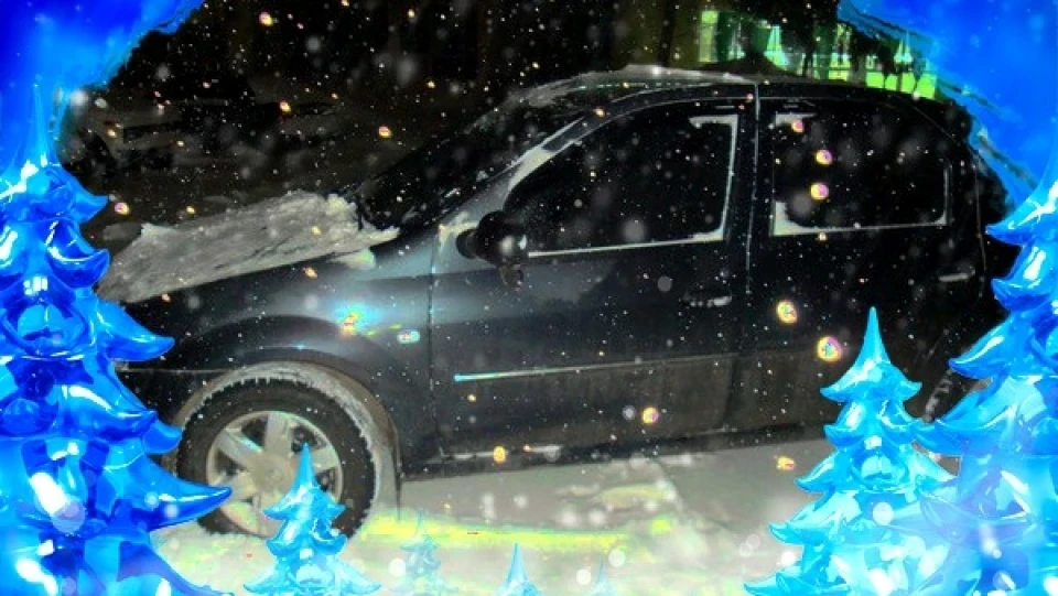Renault Logan GREY Scorpion 4