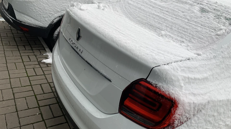 Renault Logan Реально Нереальна Білка 2