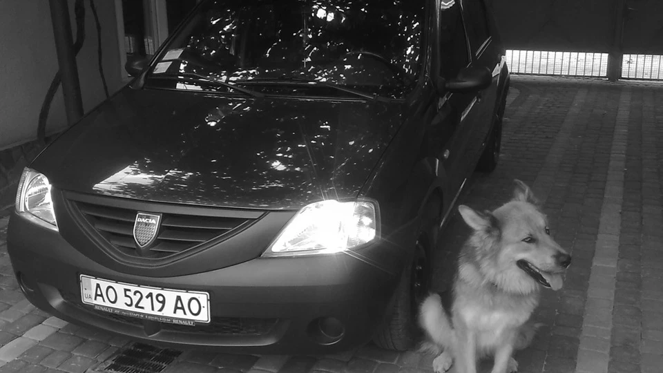 Renault Logan Звірька=))) 5
