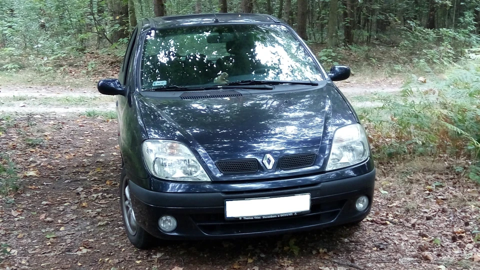 Renault Megane Scenic