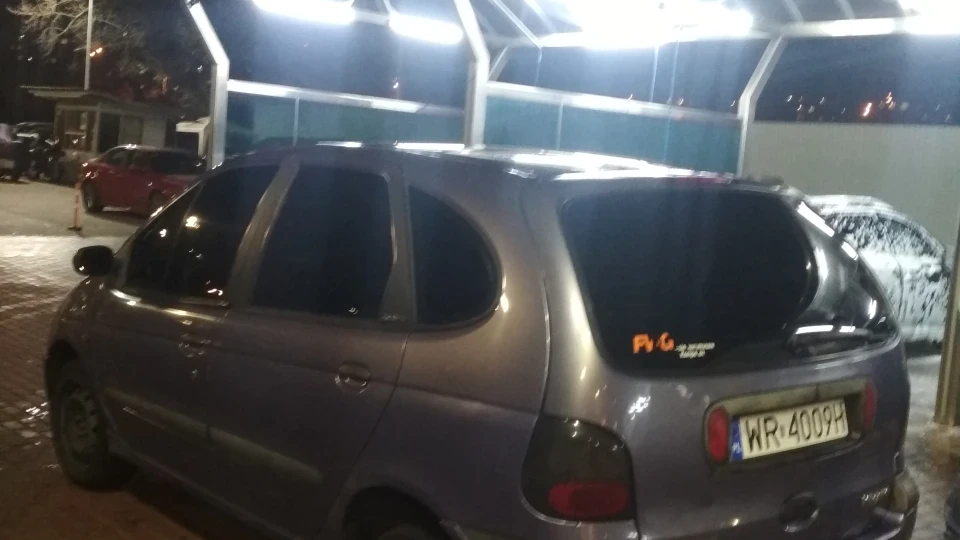 Renault Megane Scenic Дракон 2
