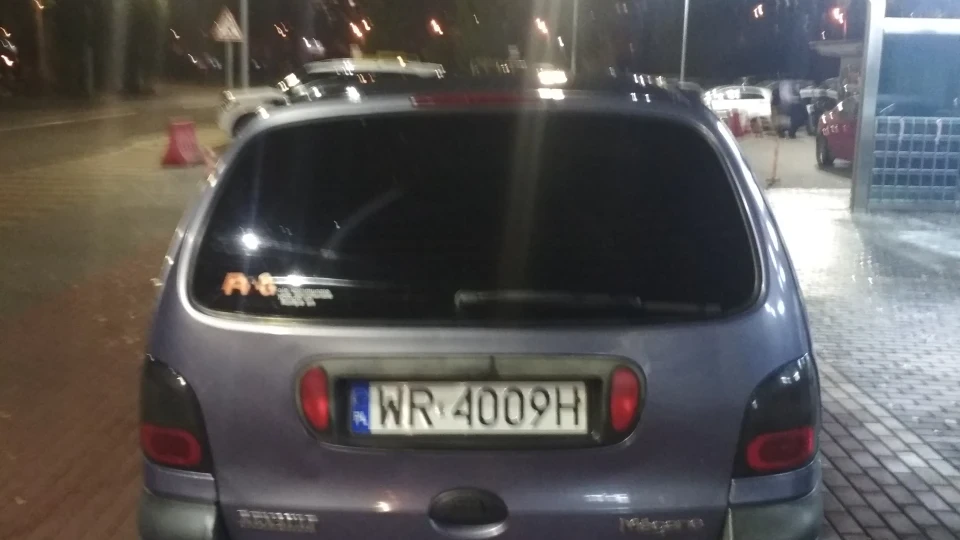 Renault Megane Scenic Дракон 3