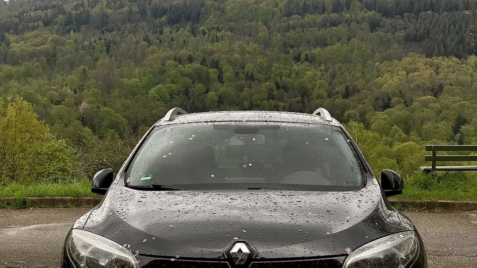 Renault Megane BAD OL 7 2