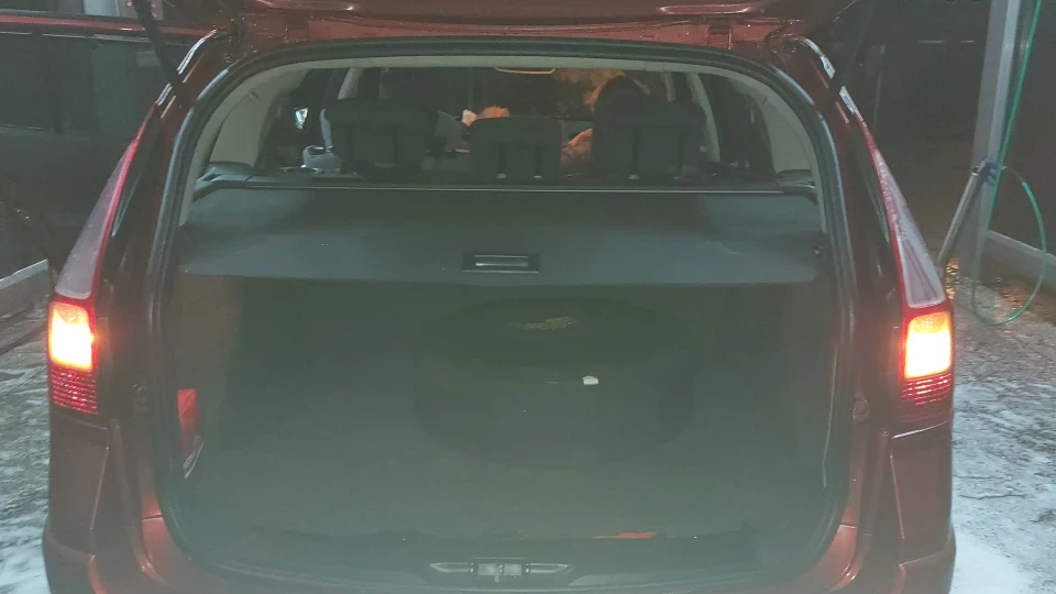 Renault Megane Економайзер 4
