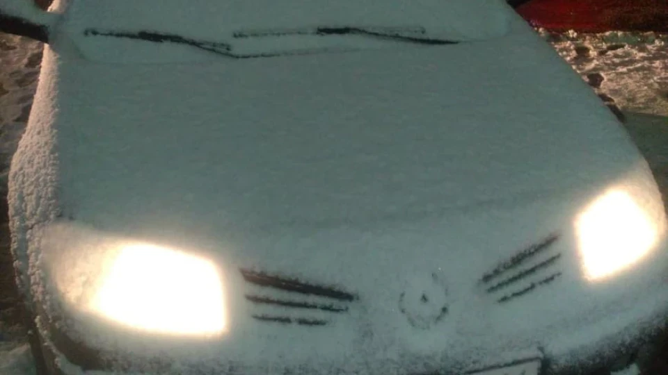 Renault Megane Меганич 5