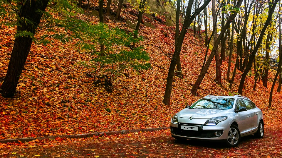 Renault Megane "ⒼⓇⒶⓎ ⒻⓄⓍ" Stage 1 2